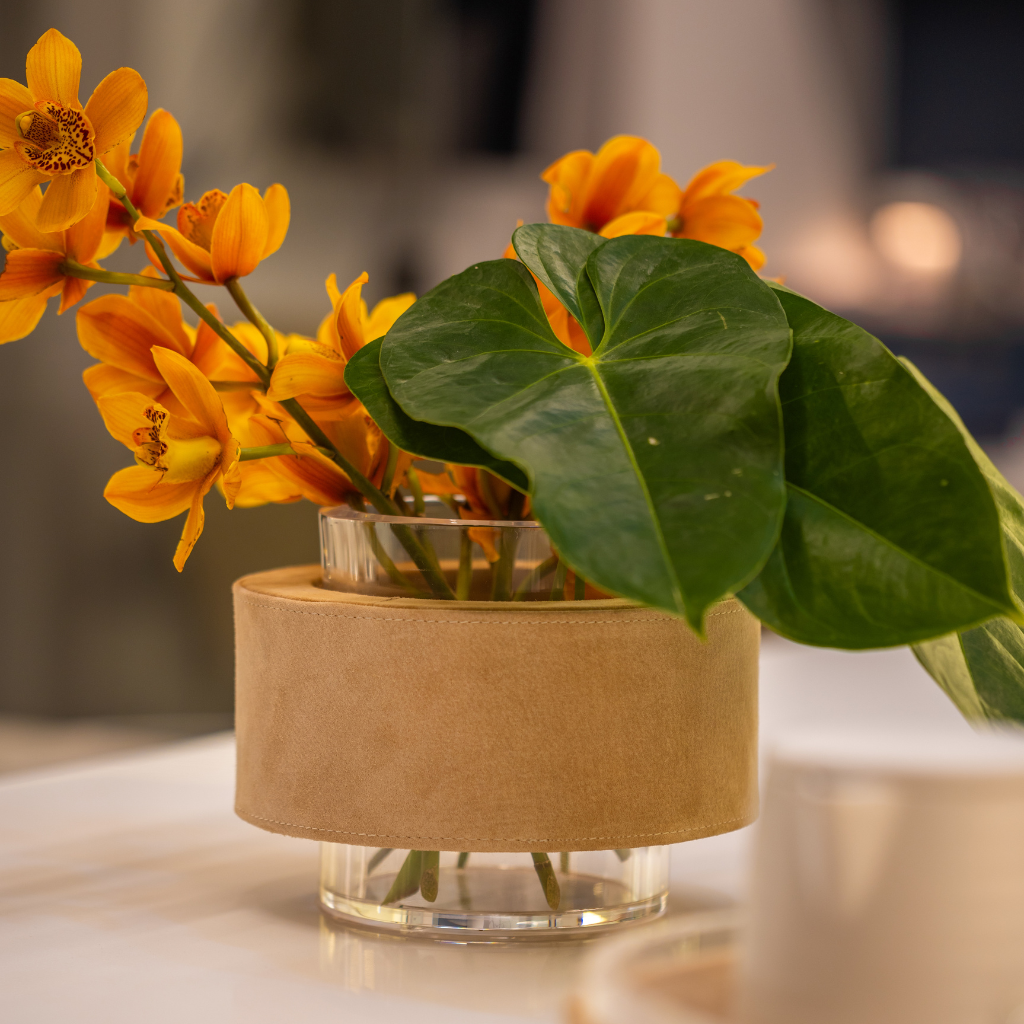 Vaso Peanut - Aurora P