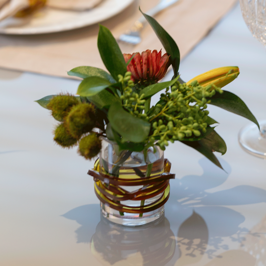 Vaso P Color Line - Turtle