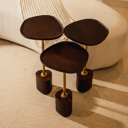 MESA DE APOIO AVYA - MDO2 MUIRACATIARA