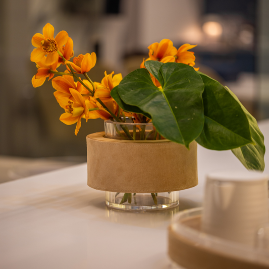 Vaso Peanut - Aurora P