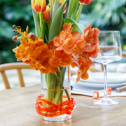 Vaso M Color Line - Tangerine Tango